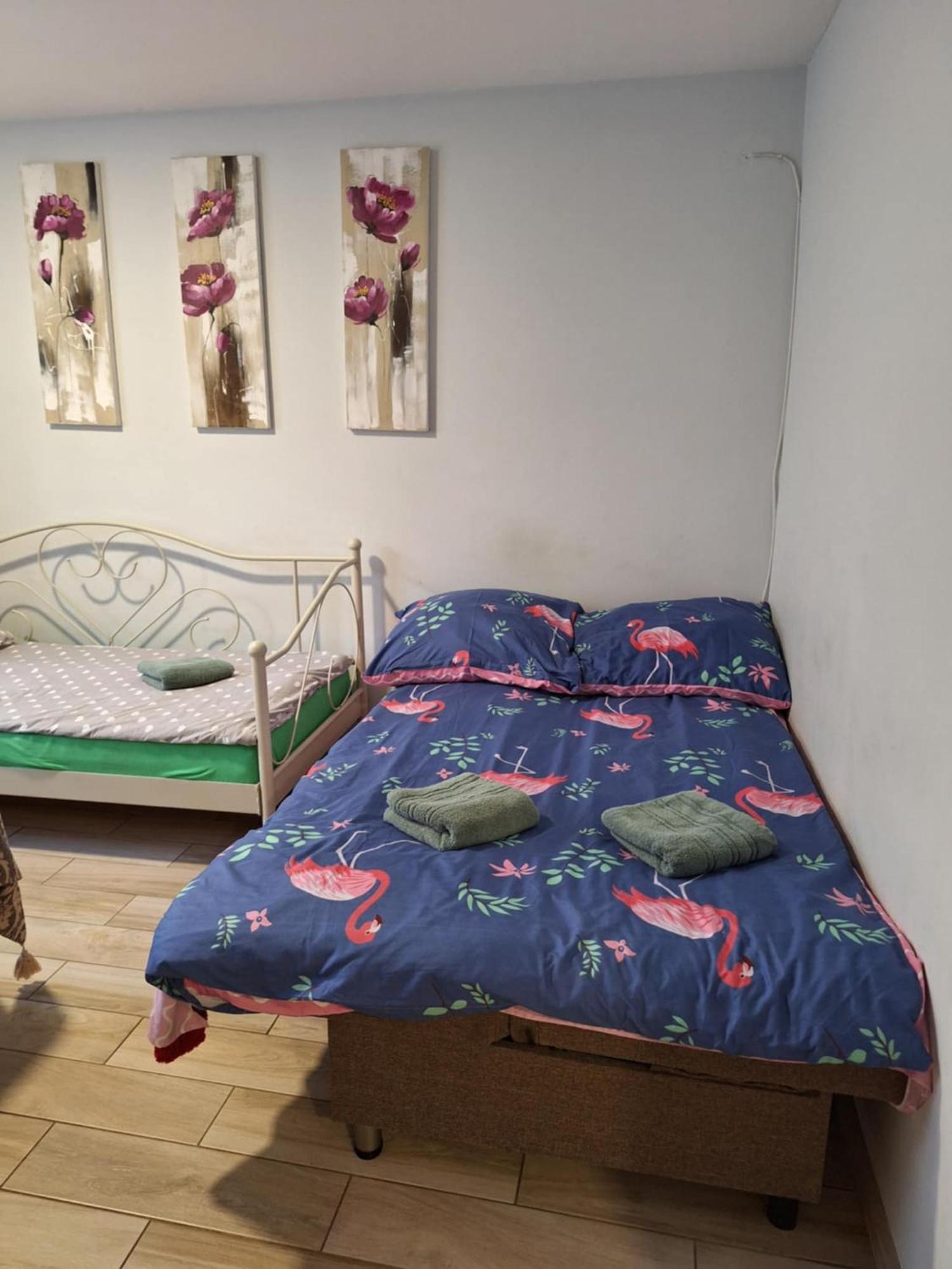 Apartament Przy Kladce 프르제미슬 외부 사진